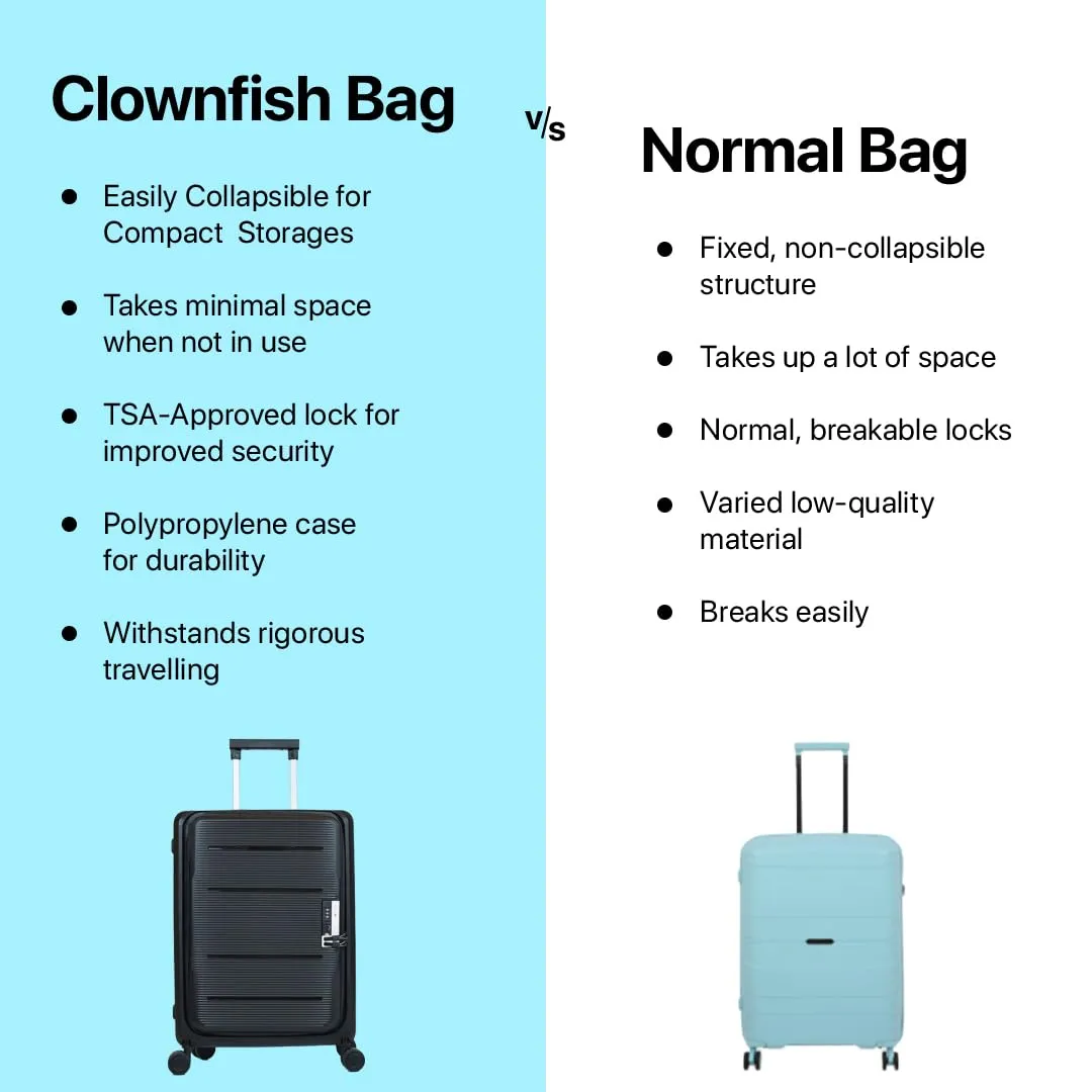 THE CLOWNFISH Collapsible Series Luggage Polypropylene Hard Case Suitcase Spinner Eight Wheel Foldable Trolley Bag With Tsa Lock- Khaki Grey (Small Size, 51 Cm-20 Inch), H-56 Centimeters